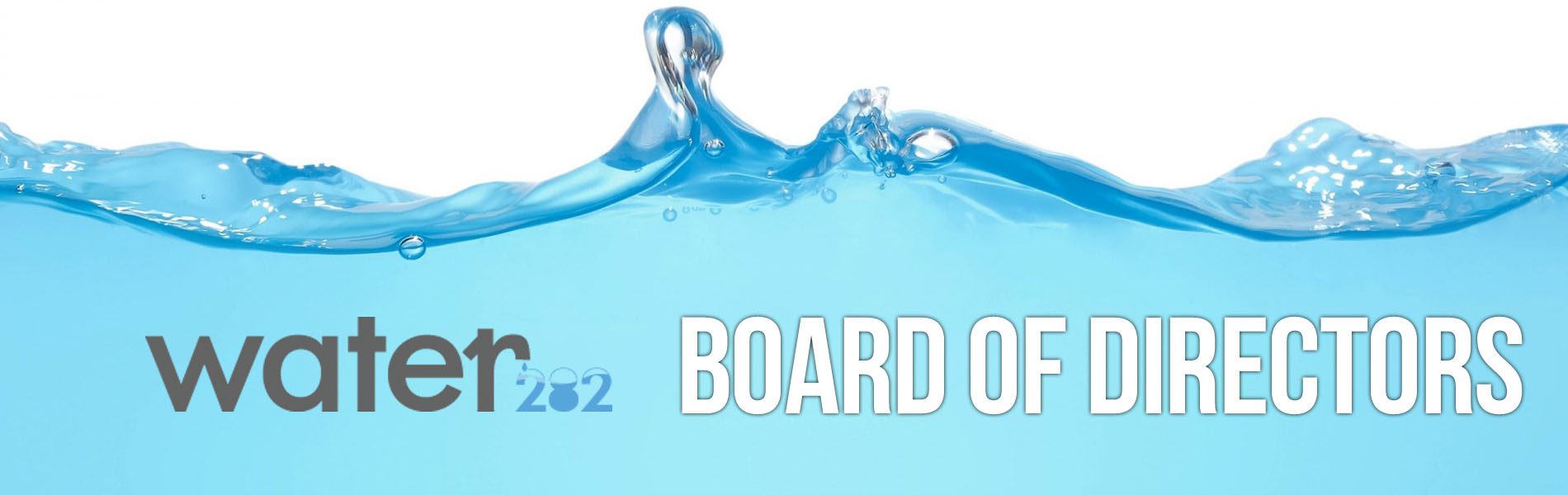 Board of Directors